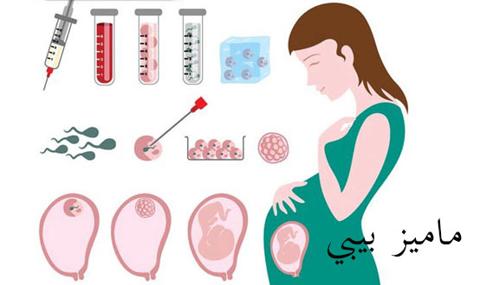 إبرة تحديد نوع الجنين – ماميز بيبي